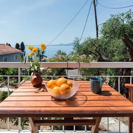 Reana Elegant By Konnect, 巴尔巴蒂